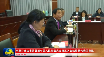 李惠芬参加周巷代表团审议