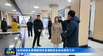 市劳动就业管理局到我县调研就业创业服务工作