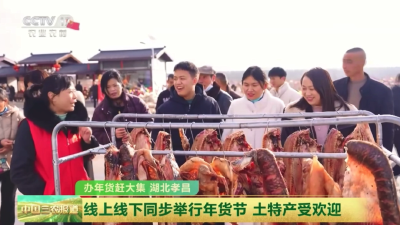 央视关注孝昌：线上线下同步举行年货节 土特产受欢迎
