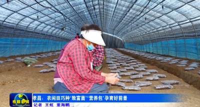 孝昌：农闲田巧种“致富菌” “营养包”孕育好前景