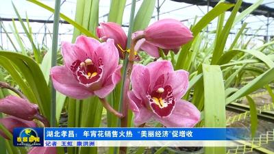 孝昌：年宵花销售火热 “美丽经济”促增收