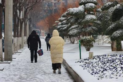 孝昌一片雪茫茫