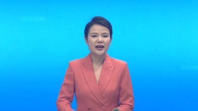 李惠芬调研党建引领基层治理工作