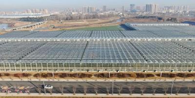 新智新力赴孝昌！镜头下的智慧农业，赋能县域乡村振兴新图景