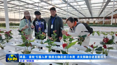 非遗夜游、智慧农场……孝昌澴水湾“惊艳”武汉旅游大咖