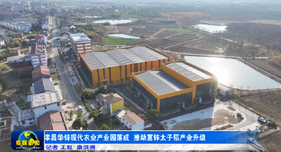 “富锌太子稻”C位出道！孝昌华锌现代农业产业园正式运营 