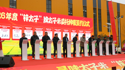 当腊八节邂逅太子米，这场“锌”动之旅拉满孝昌年味！