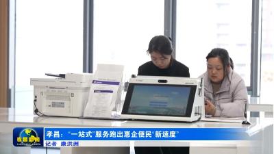 孝昌：“一站式”服务跑出惠企便民“新速度”