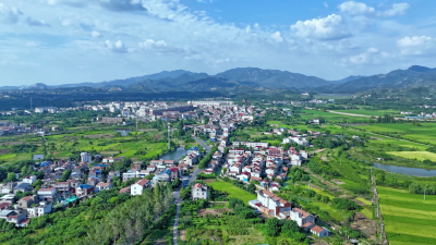 2026，孝昌“三农”再出发！实干开创振兴新局面