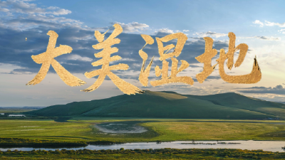 时政微视频丨大美湿地