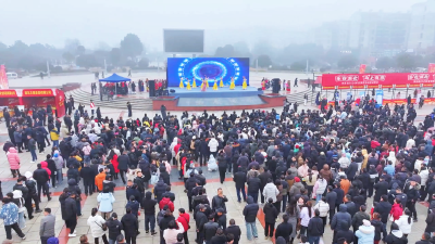 在孝昌赶大集！人山人海年味浓，现场直接挤爆！