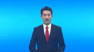 培育小微盆景 新农人引领苗木产业提档升级