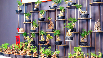 80元到1200元都卖爆！孝昌小哥带大伙“起飞”了 