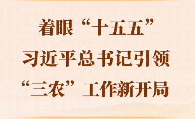 第一观察｜着眼“十五五”，习近平总书记引领“三农”工作新开局