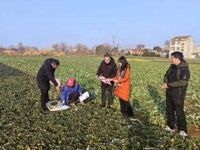 孝昌：守好“节前关”  护航“舌尖安”