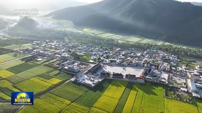 新思想引领新征程·非凡“十四五”丨“四好农村路”赋能城乡融合 助力乡村全面振兴