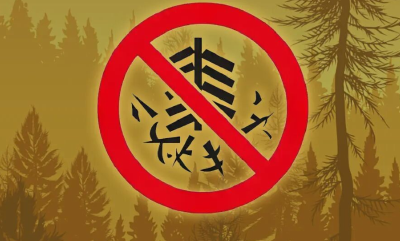 加紧追查，启动问责！近期警惕→