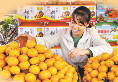 新春走基层 | 柿红羊欢、山货出山、冰雪经济……来看黄冈的蓬勃生机