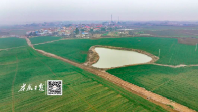 这位牛人，也太“慧”种地了吧~