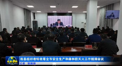 我县组织收听收看全市安全生产和森林防灭火工作视频会议