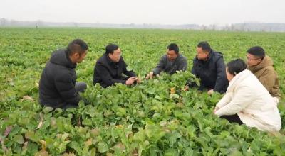 新华社报道孝昌：人勤春来早　“雨水”润春耕