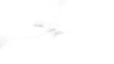 醉美丰山丨醉了，醉了！再美的文案也比不过这桃林春色！.mp4