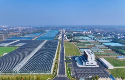 孝昌：“小而美”各美其美 融合化美美与共