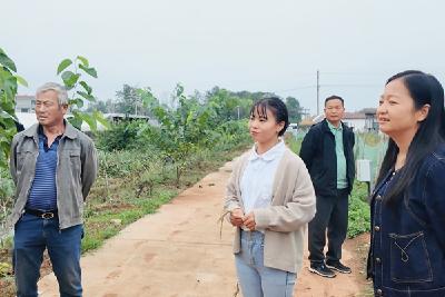 十四届全国人大代表 田淑娴：一位硕士“新农人”的科技兴农路