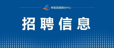 春风送岗  孝昌专场赶集招聘会来了