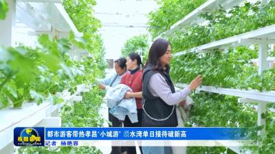 都市游客带热孝昌“小城游” 澴水湾单日接待破新高