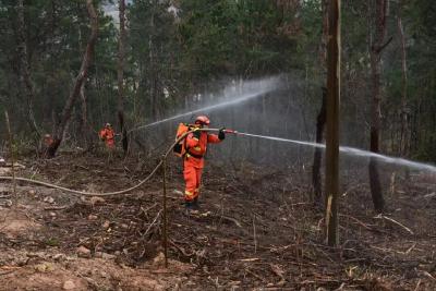孝昌：实战演练砺精兵  多方协同护青山