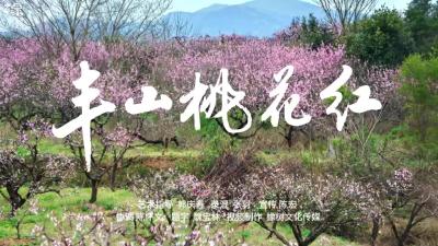 丰山桃花红