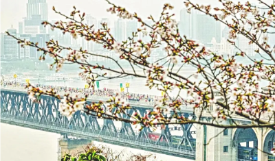 从“客场”到“主场”，读懂武汉文旅“朋友圈”扩容背后的经济逻辑