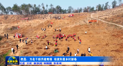 孝昌：万名干群共植青绿  绘就和美乡村新卷 