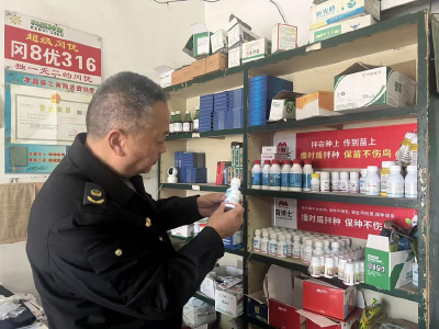 孝昌白沙：专项整治显担当 基层实干护民生 