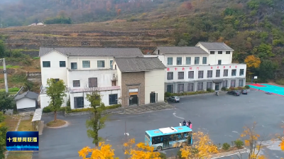 十堰“淘宝村”来了AI助手