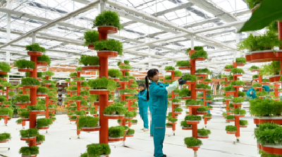 住进智能房 喝上营养水 孝昌春管有点“酷”