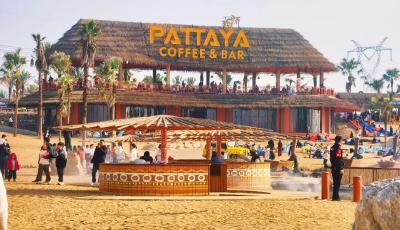 水乡曹砦马年“出圈”迎客  孝昌农旅融合绘出乡村振兴新图景