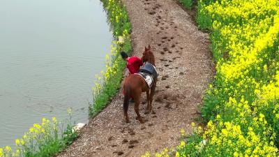 这个春天，在孝昌等一场与你有关的花事