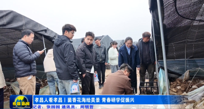 孝昌人看孝昌丨菌香花海绘美景 青春研学促振兴