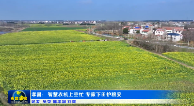 孝昌：智慧农机上空忙 专家下田护粮安 