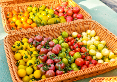 住进智能房 喝上营养水 孝昌春管有点“酷”