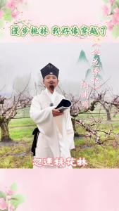 漫步桃林 我好像穿越了