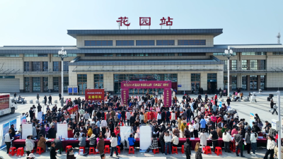 孝昌：线上线下齐发力 精准服务促就业