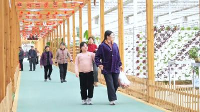 都市游客带热孝昌“小城游”  澴水湾单日接待破新高