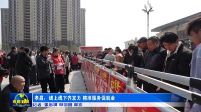 孝昌：线上线下齐发力 精准服务促就业