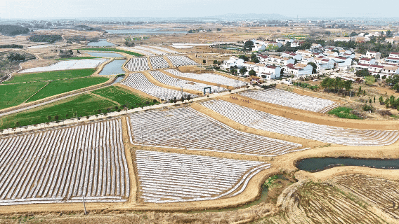 孝昌：春耕生产正当时 科技赋能助丰收