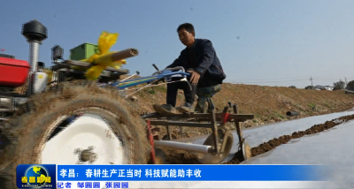 孝昌：春耕生产正当时 科技赋能助丰收