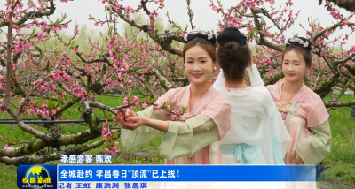 全城赴约 孝昌春日“顶流”已上线！