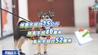 高铁托运宠物如何预约接取 一文全攻略